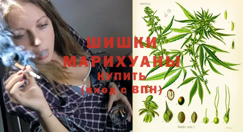 Бошки марихуана индика  OMG как войти  Поронайск 